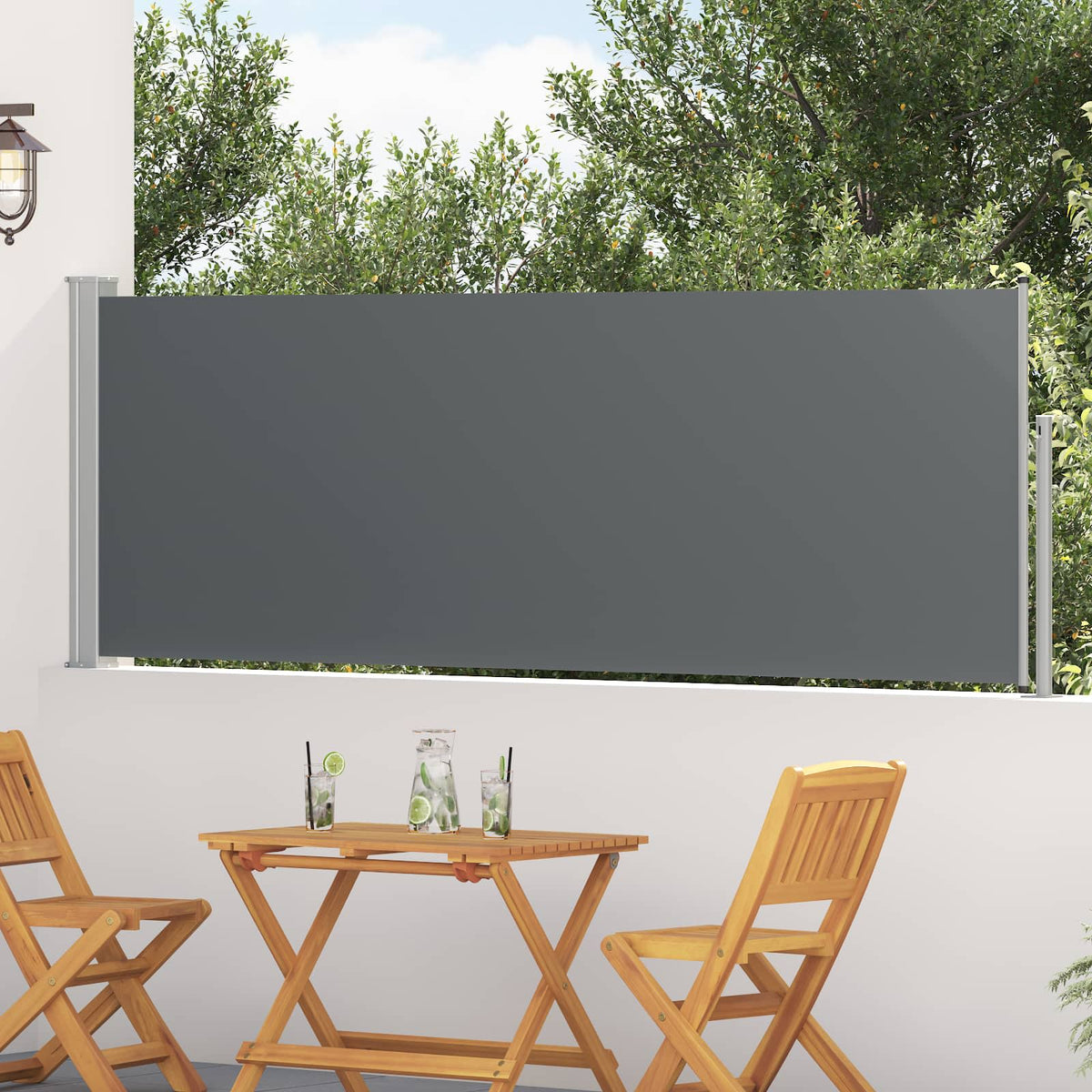 Uittrekbaar Zijscherm Antracietkleurig 300 x 100 cm Polyester is nu te koop bij PeponiXL, paradijselijk wonen!