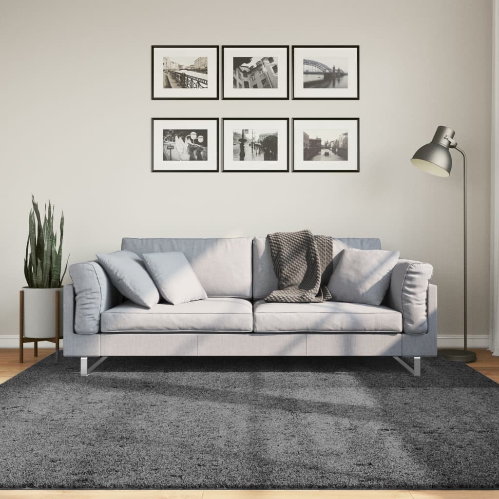 Vloerkleed OVIEDO laagpolig 200x200 cm antracietkleurig is nu te koop bij PeponiXL, paradijselijk wonen!