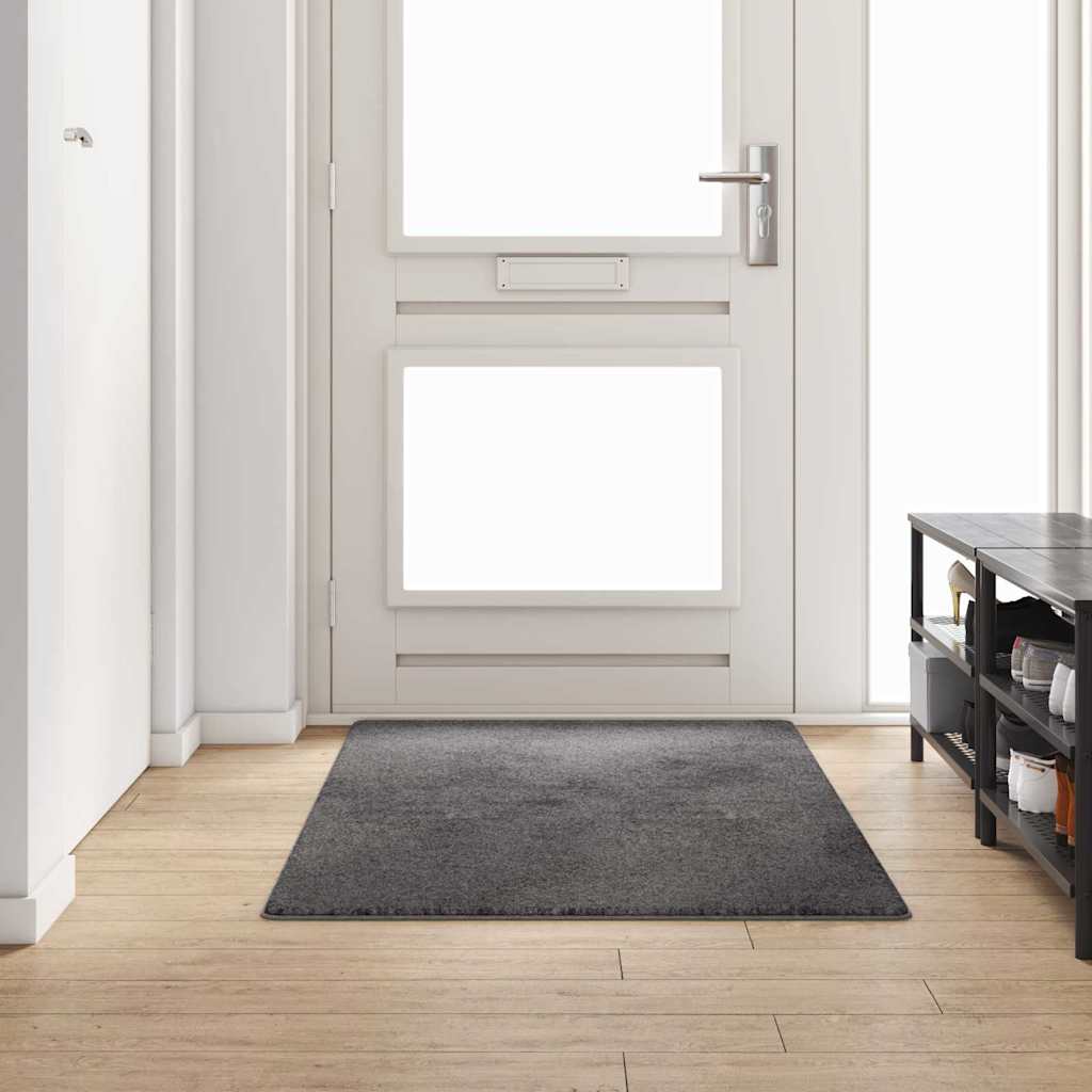 Tapijt Loper Grijs 100 x 200 cm 100% Polypropylene Tuft is nu te koop bij PeponiXL, paradijselijk wonen!