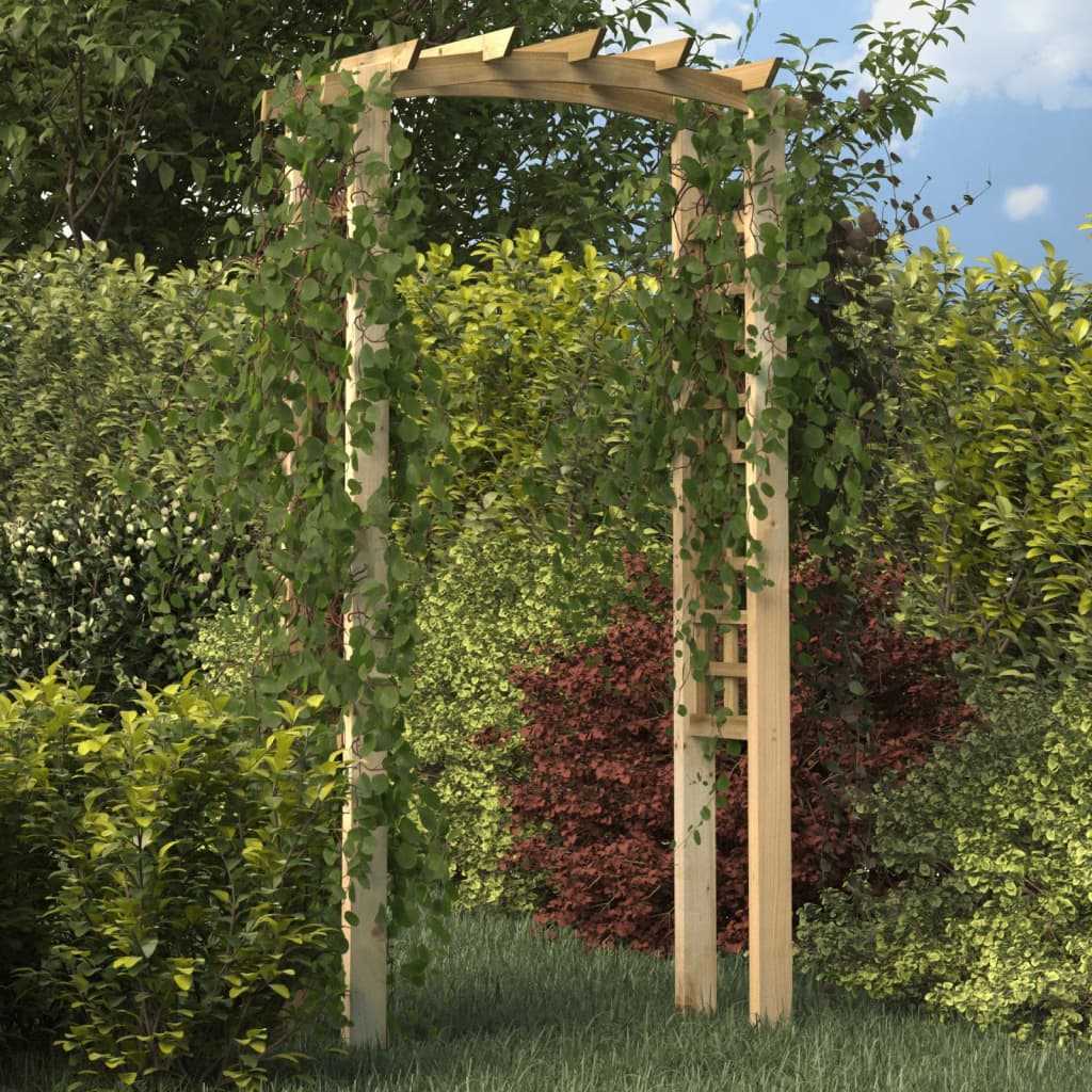 Tuinboog 110x60x210 cm geïmpregneerd massief grenenhout is nu te koop bij PeponiXL, paradijselijk wonen!