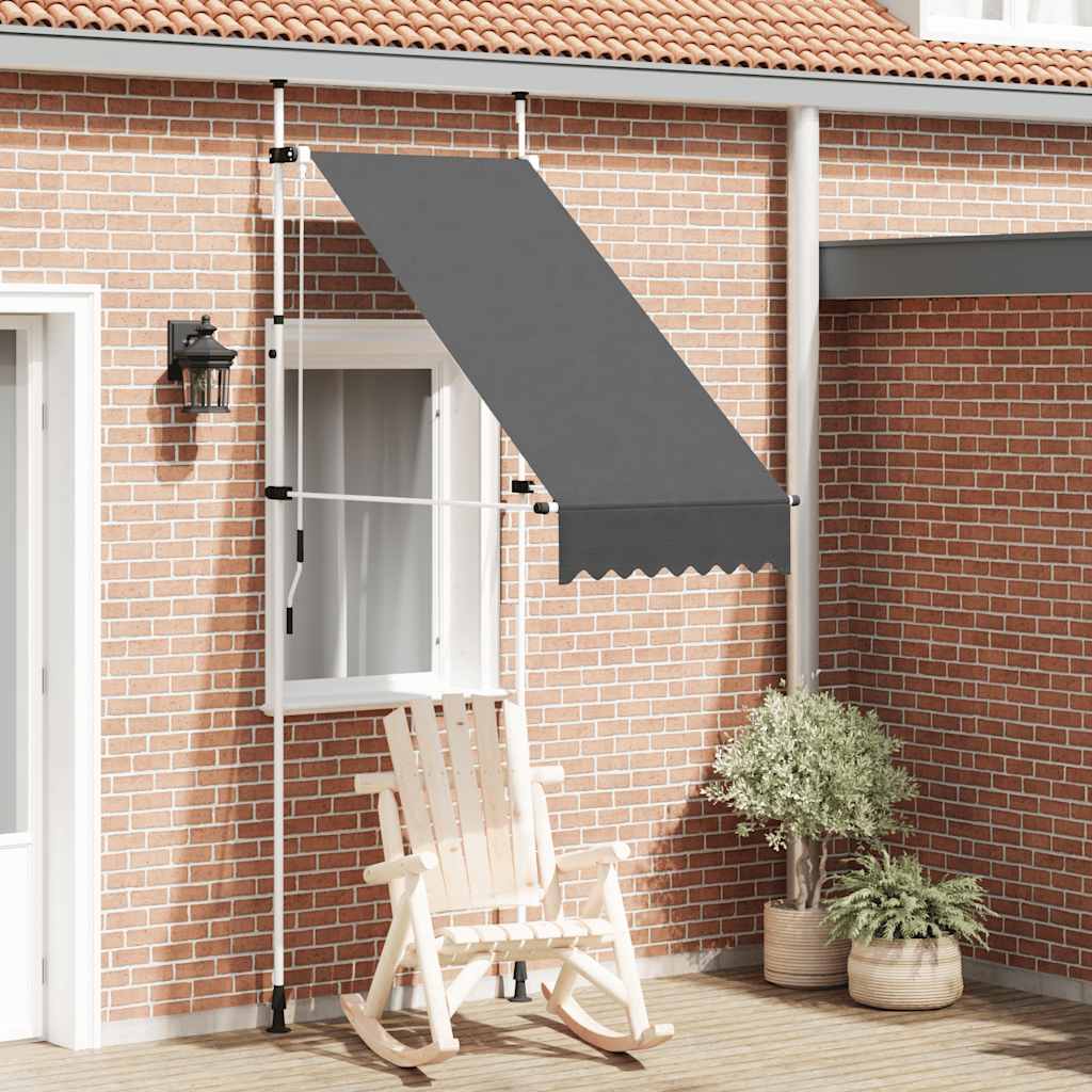 Luifel handmatig uittrekbaar 100 cm antraciet is nu te koop bij PeponiXL, paradijselijk wonen!