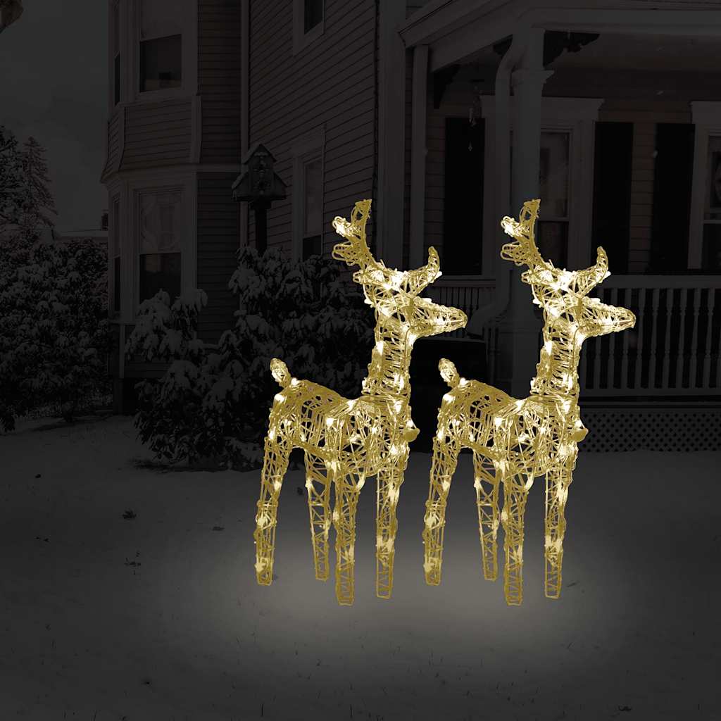 Kerstrendieren 2 st 80 LED's acryl warmwit is nu te koop bij PeponiXL, paradijselijk wonen!