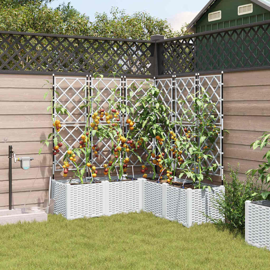 Tuin Bloempot 5 pcs Wit Kunststof is nu te koop bij PeponiXL, paradijselijk wonen!