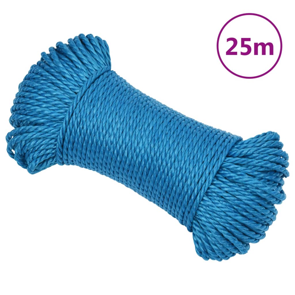 Werktouw 3 mm 25 m polypropeen blauw is nu te koop bij PeponiXL, paradijselijk wonen!