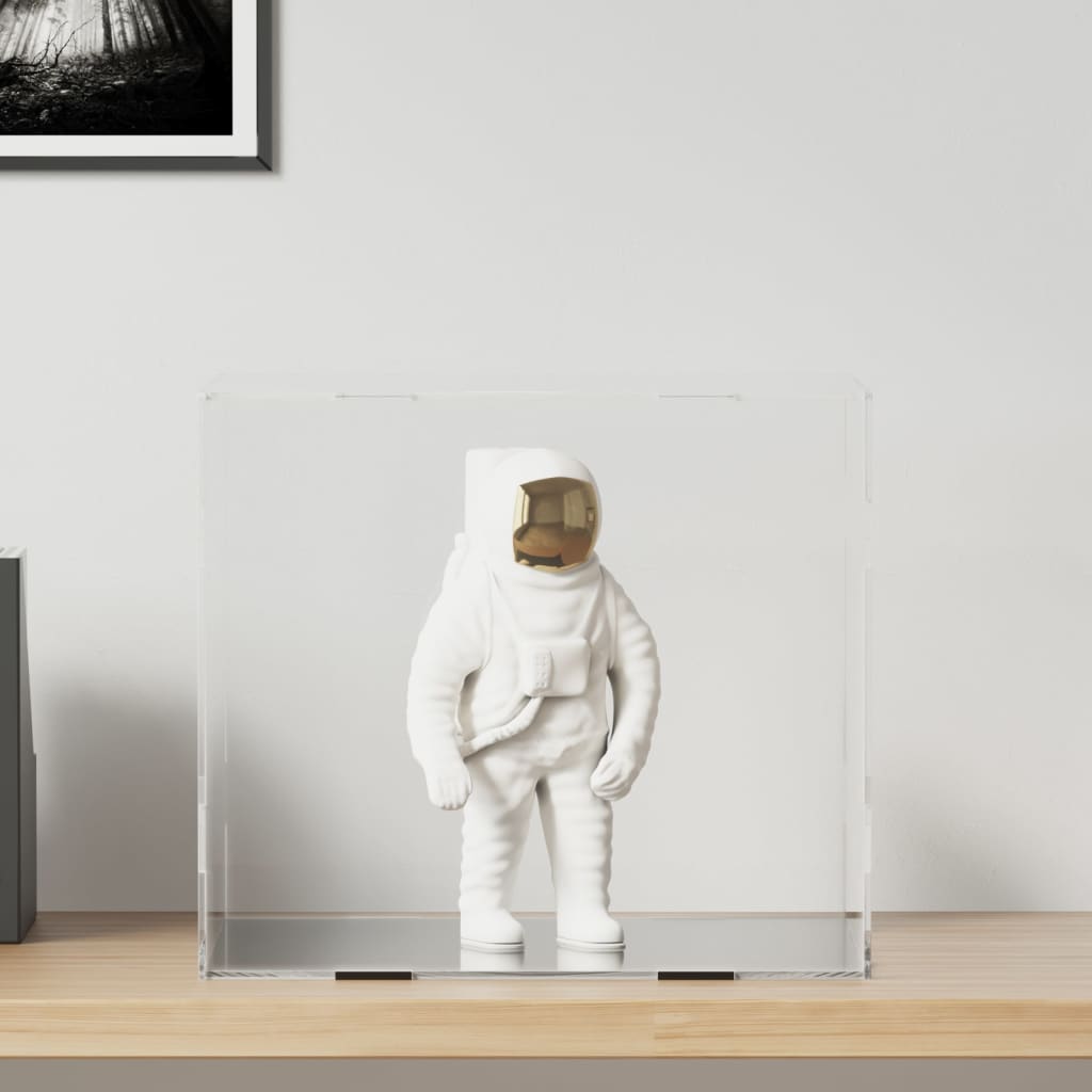 Displaybox transparant 40x36x35 cm acryl is nu te koop bij PeponiXL, paradijselijk wonen!