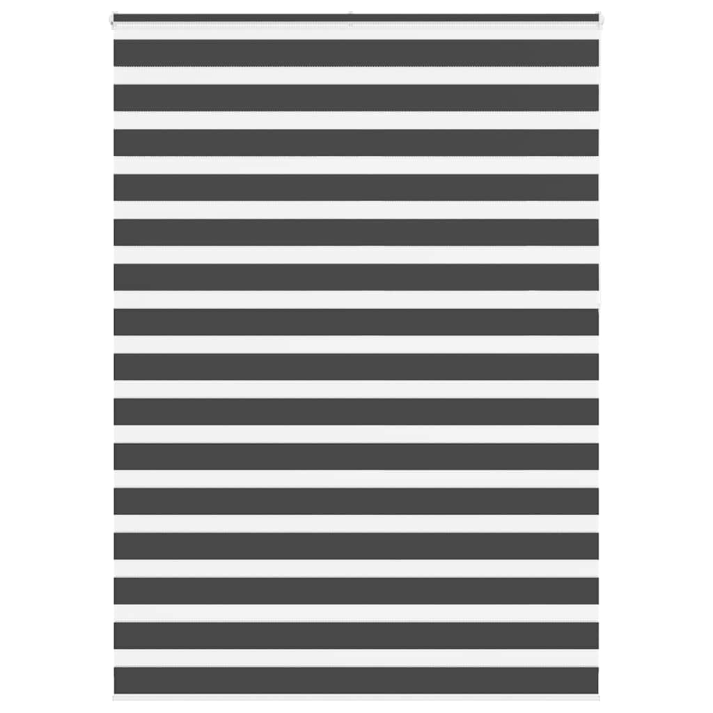 Zebra rolgordijn 160x230 cm stofbreedte 155,9 cm zwart is nu te koop bij PeponiXL, paradijselijk wonen!
