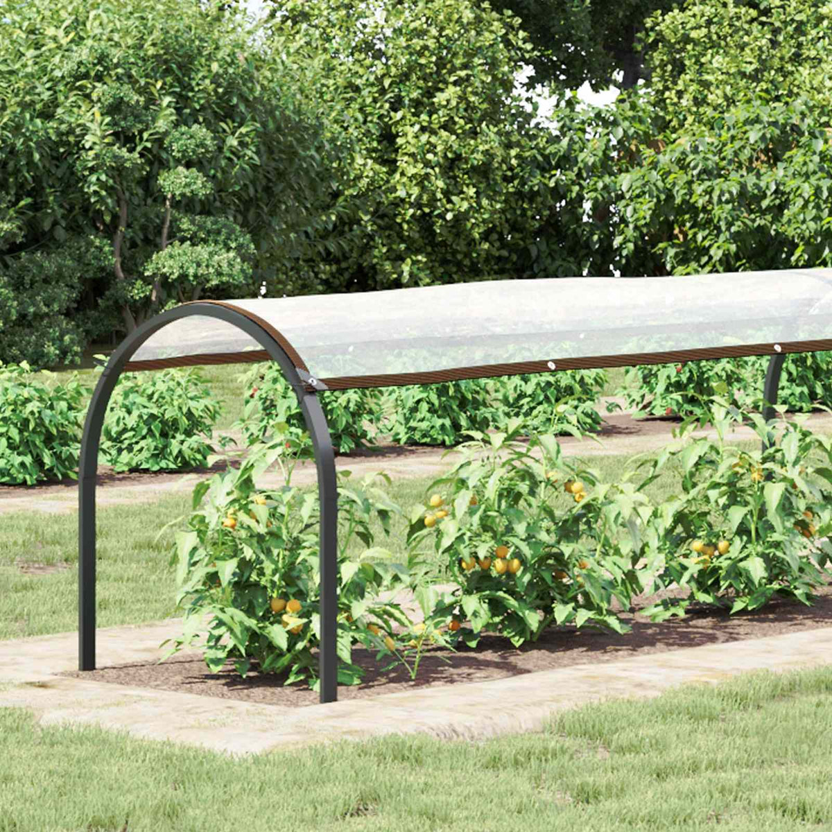 Plantenhoes Doorzichtig 20 x 1,5 m PE is nu te koop bij PeponiXL, paradijselijk wonen!