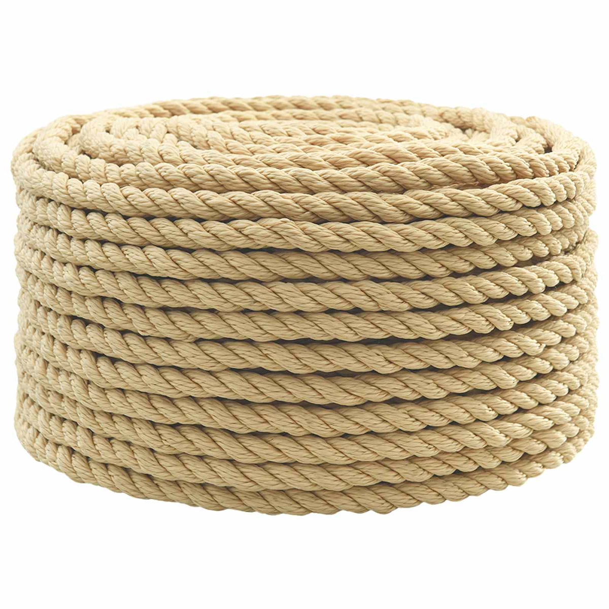 vidaXL Multifunctioneel gebruikstouw 12 mm 100 m Naturel PP