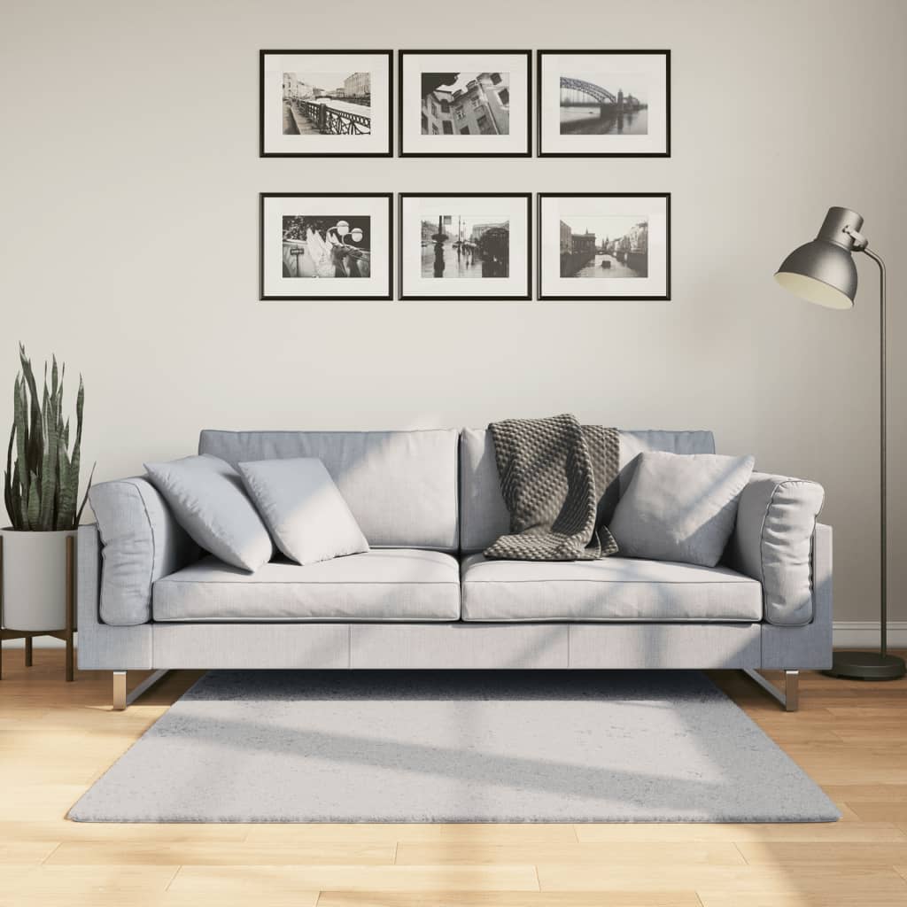 Vloerkleed HUARTE laagpolig zacht wasbaar 120x120 cm grijs is nu te koop bij PeponiXL, paradijselijk wonen!