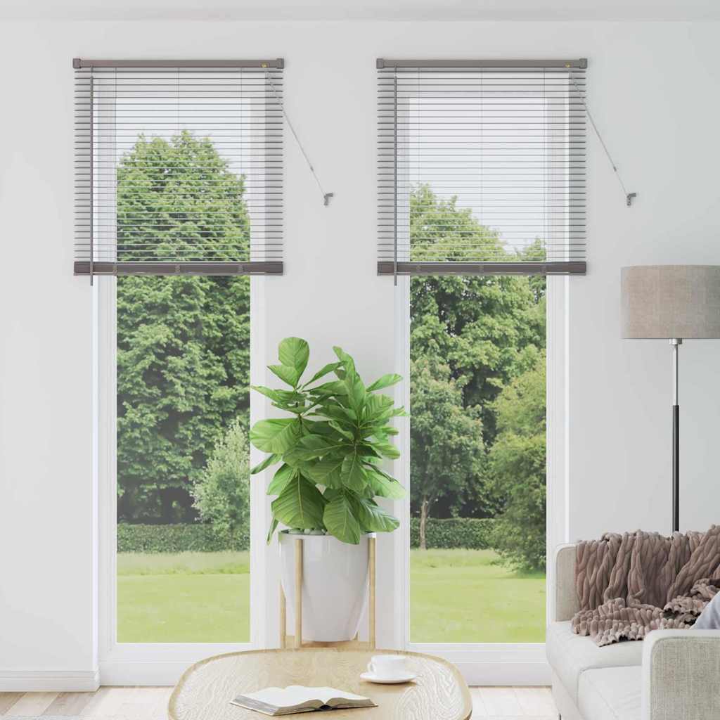Venetiaanse Jaloezieën Zilver 220 x 80 cm Aluminium is nu te koop bij PeponiXL, paradijselijk wonen!