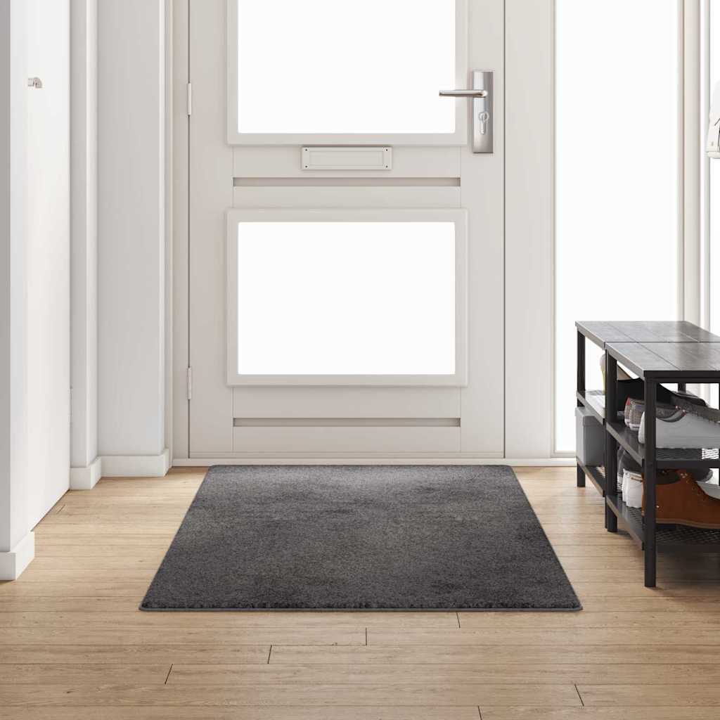 Tapijt Loper Grijs 100 x 250 cm 100% Polypropylene Tuft is nu te koop bij PeponiXL, paradijselijk wonen!
