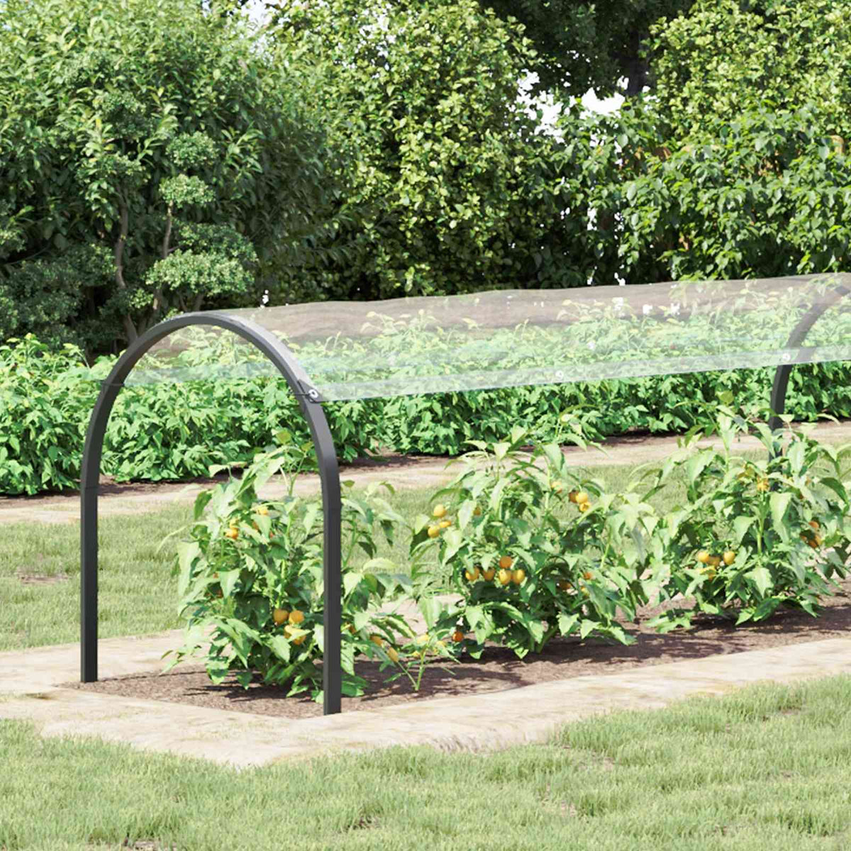 Plantenhoes Doorzichtig 10 x 1,5 m PVC is nu te koop bij PeponiXL, paradijselijk wonen!