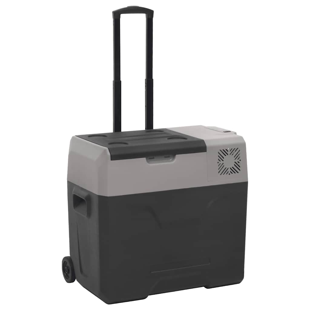 Koelbox met wielen en handvat 40 L polypropeen zwart en grijs is nu te koop bij PeponiXL, paradijselijk wonen!