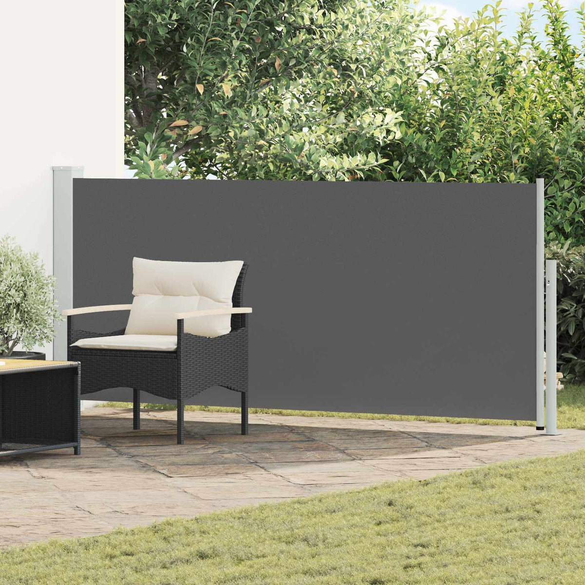 Uittrekbaar Zijscherm Antracietkleurig 300 x 120 cm Polyester is nu te koop bij PeponiXL, paradijselijk wonen!