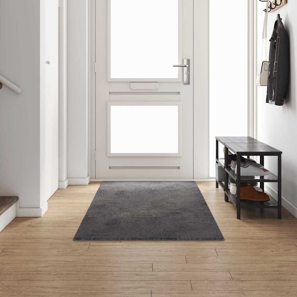 Tapijt Loper Grijs 100 x 300 cm 100% Polypropylene Tuft is nu te koop bij PeponiXL, paradijselijk wonen!