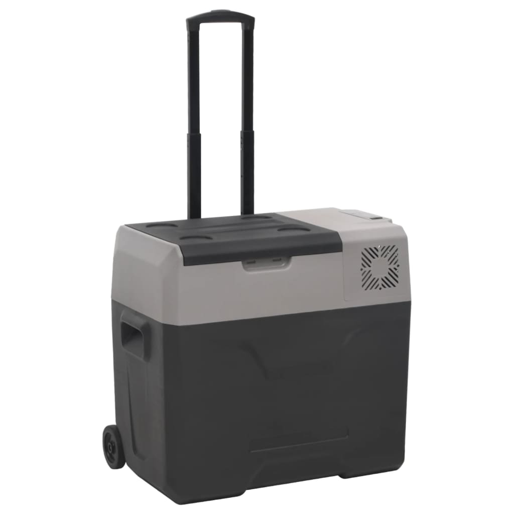 Koelbox met wielen en handvat 30 L polypropeen zwart en grijs is nu te koop bij PeponiXL, paradijselijk wonen!