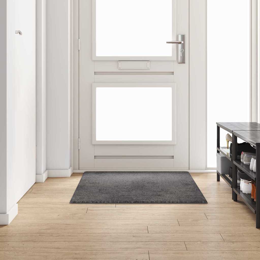 Tapijt Loper Grijs 100 x 150 cm 100% Polypropylene Tuft is nu te koop bij PeponiXL, paradijselijk wonen!