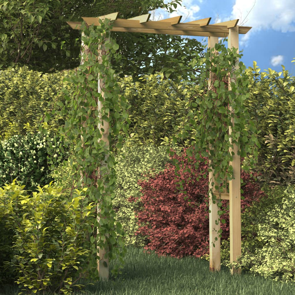 Rozenboog 150x60x204 cm geïmpregneerd hout is nu te koop bij PeponiXL, paradijselijk wonen!
