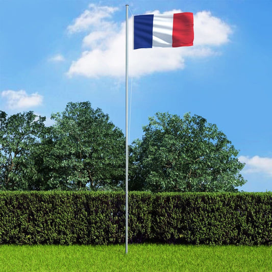 Vlag Frankrijk 90x150 cm is nu te koop bij PeponiXL, paradijselijk wonen!
