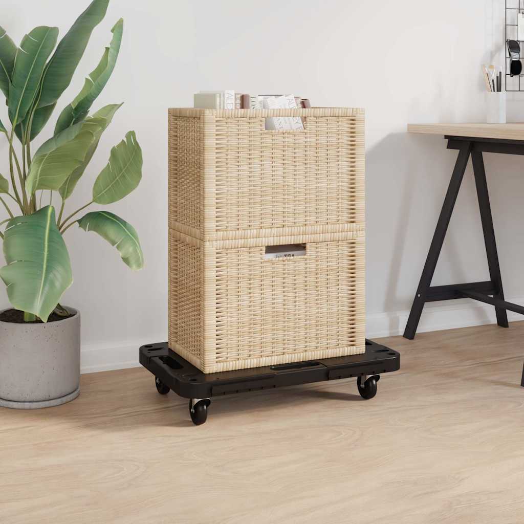 Transporttrolley 58x38x12 cm PP zwart is nu te koop bij PeponiXL, paradijselijk wonen!