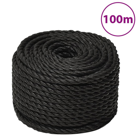 Werktouw 10 mm 100 m polypropeen zwart is nu te koop bij PeponiXL, paradijselijk wonen!