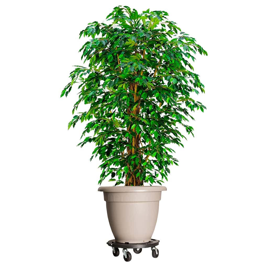 Plantentrolleys met wielen 3 st 275 kg diameter 40 cm zwart is nu te koop bij PeponiXL, paradijselijk wonen!