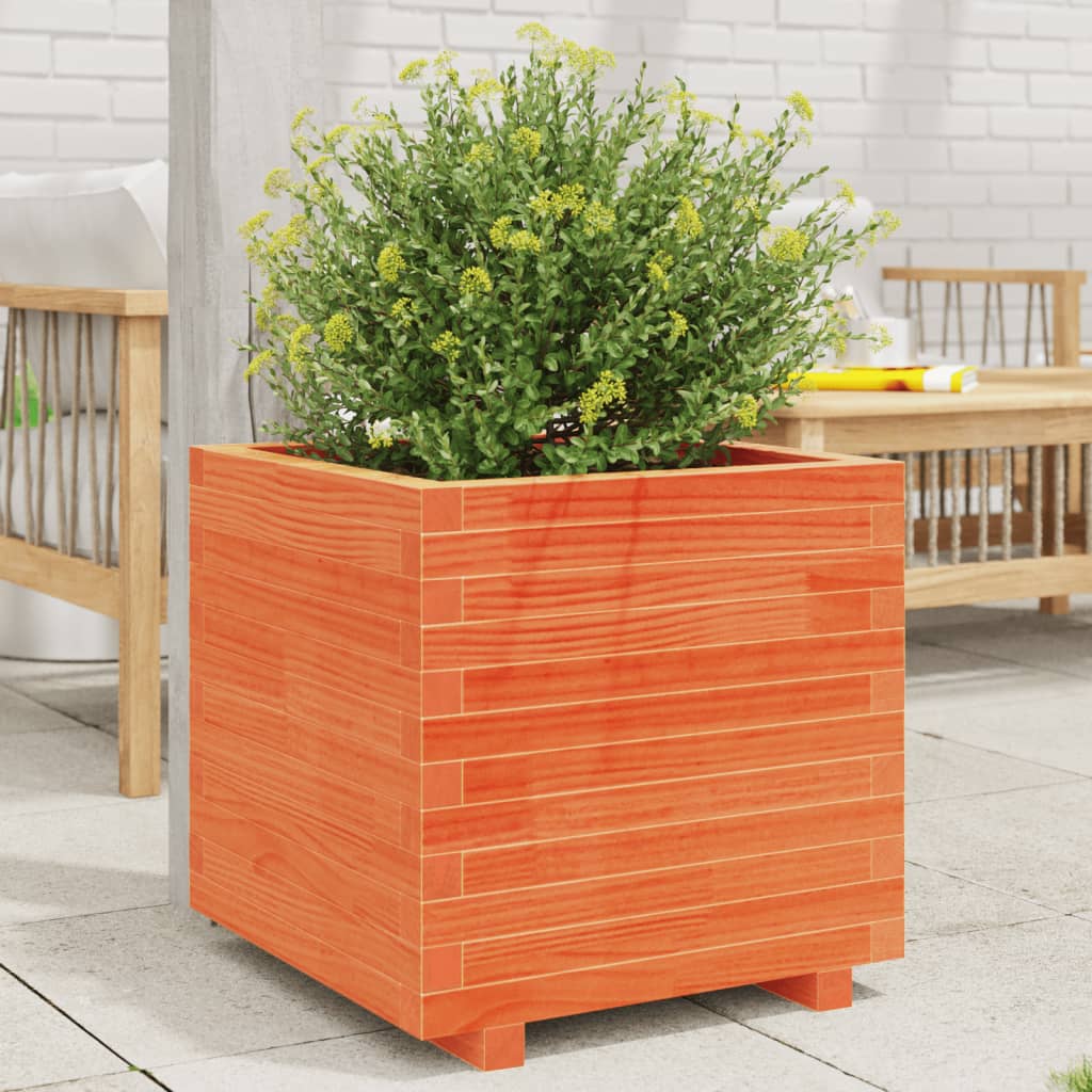 Plantenbak 50x50x49,5 cm massief grenenhout wasbruin is nu te koop bij PeponiXL, paradijselijk wonen!