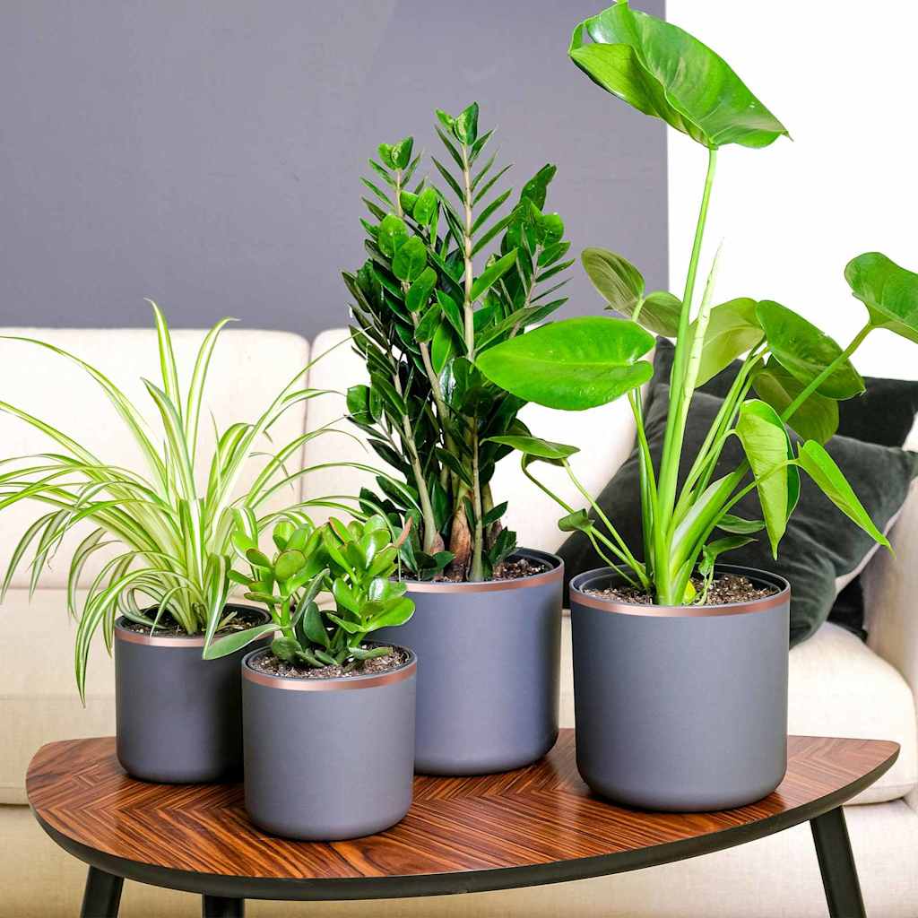 Kopertape 6 pcs Koper 2000 x 1 cm Koper is nu te koop bij PeponiXL, paradijselijk wonen!