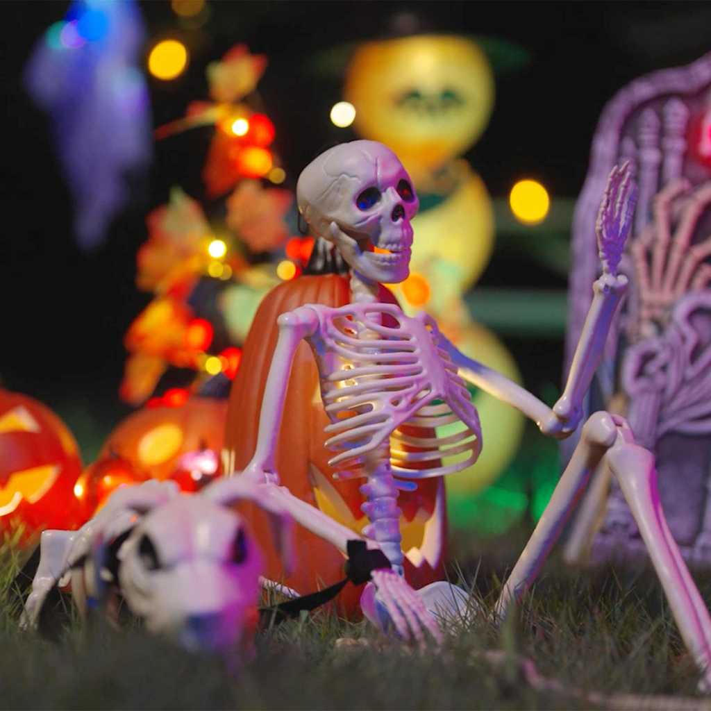 Halloween Decoratie Skelet 2 pcs Wit Polypropyleen is nu te koop bij PeponiXL, paradijselijk wonen!