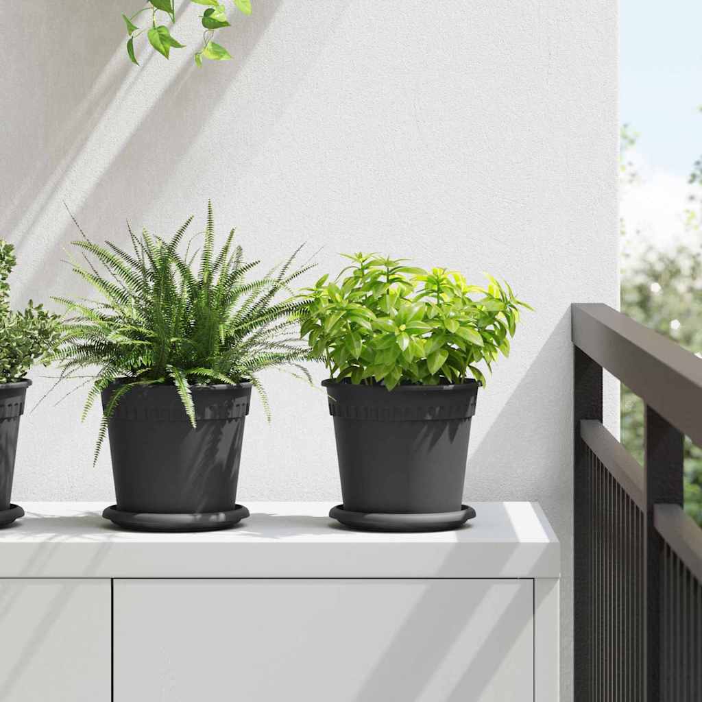 Ronde Bloemenschalen 6 pcs Zwart Ø 15,5 x 2 cm Kunststof is nu te koop bij PeponiXL, paradijselijk wonen!