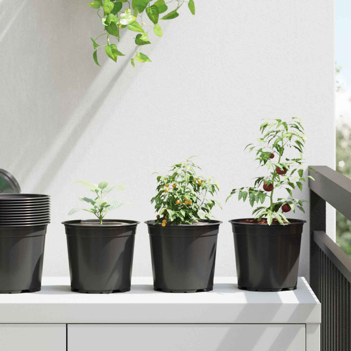 Bloempot 200 pcs Zwart Ø 15 x 13 cm Kunststof is nu te koop bij PeponiXL, paradijselijk wonen!