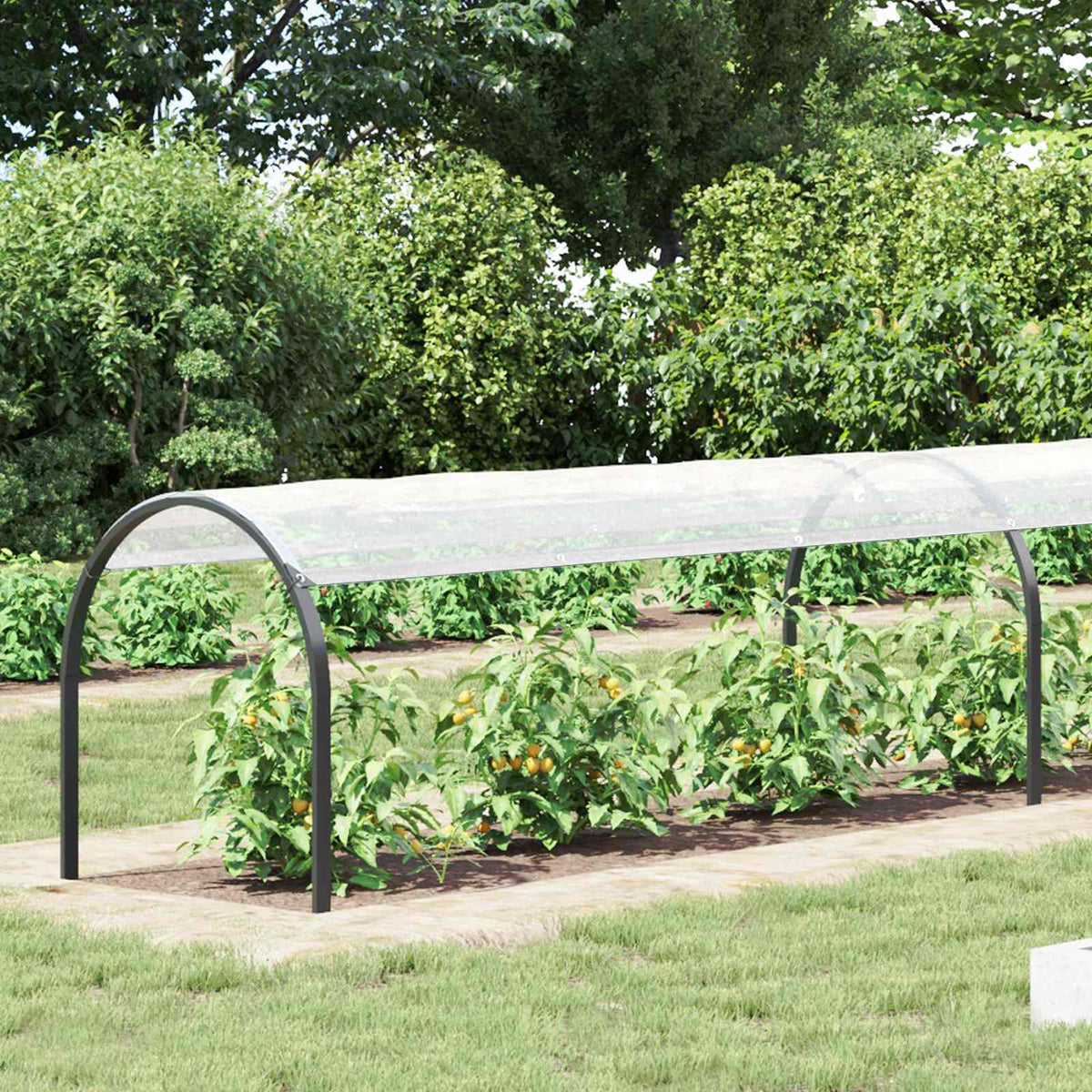 Plantenhoes Doorzichtig 6 x 1,5 m PE is nu te koop bij PeponiXL, paradijselijk wonen!