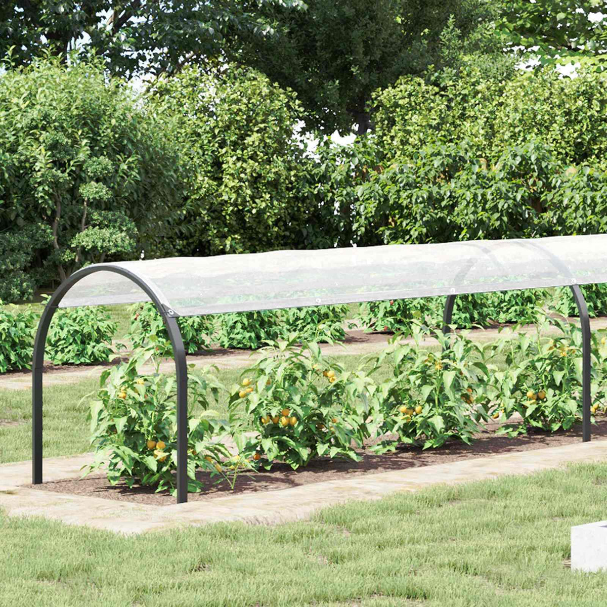 Plantenhoes Doorzichtig 20 x 1,5 m PE is nu te koop bij PeponiXL, paradijselijk wonen!