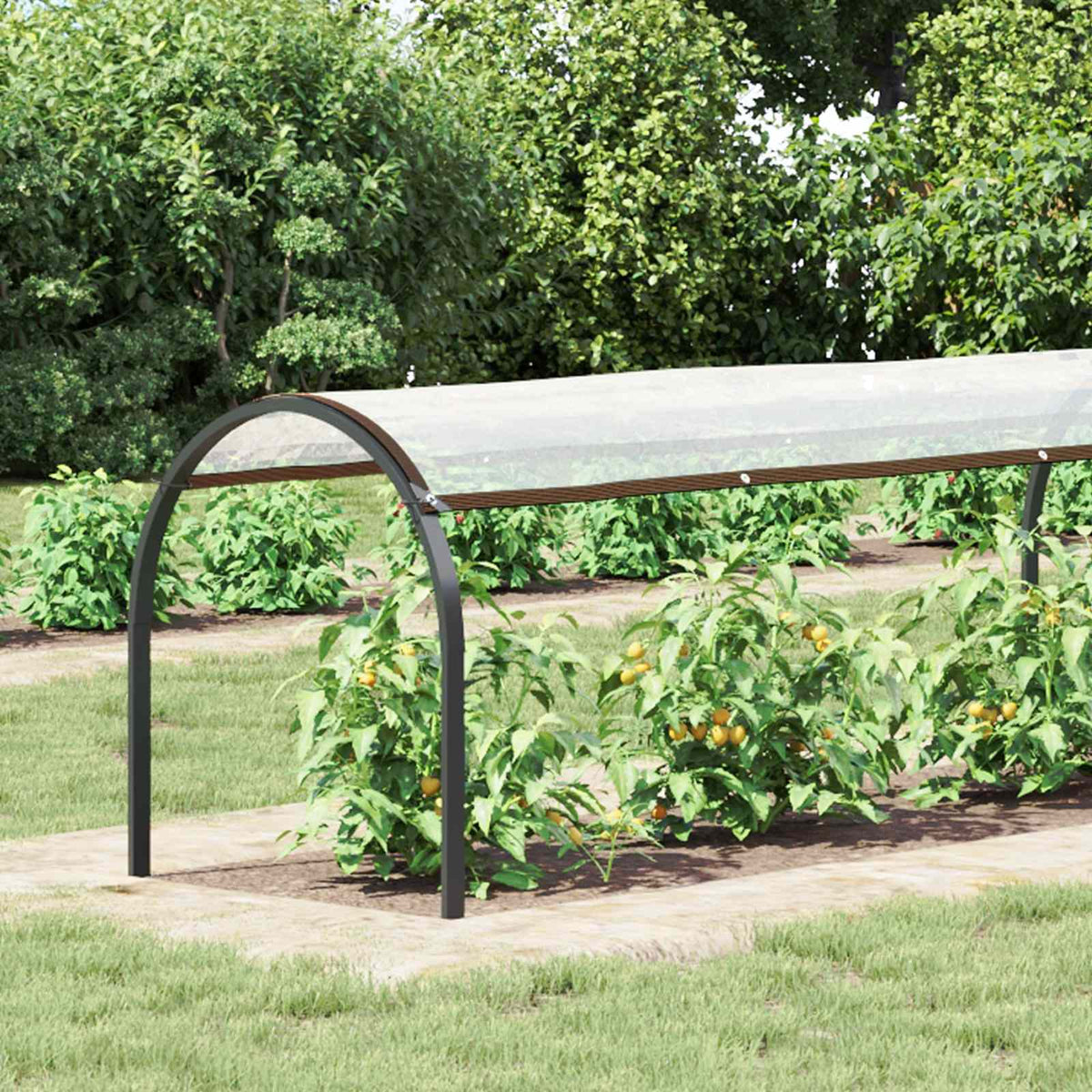 Plantenhoes Doorzichtig 2,5 x 1,5 m PE is nu te koop bij PeponiXL, paradijselijk wonen!