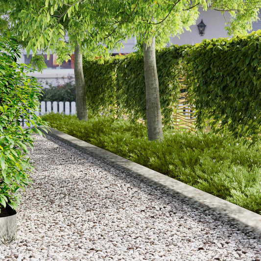 Gazonrand 20 pcs 102 x 15 x 4 cm Staal Zilverkleurig is nu te koop bij PeponiXL, paradijselijk wonen!