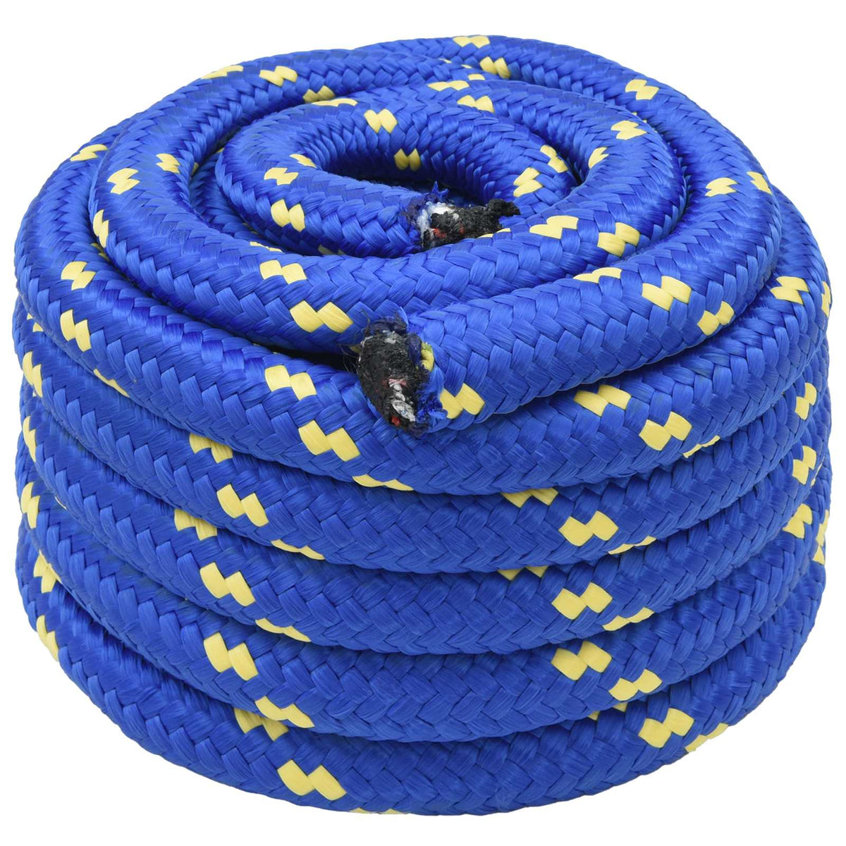 Multifunctioneel gebruikstouw 60 mm 5 m Blauw PP is nu te koop bij PeponiXL, paradijselijk wonen!